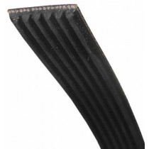 Courroie 1204H8 MAEL