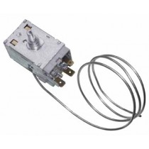 Thermostat A130447RC161