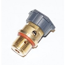 Bouchon de chaudière