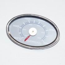 Thermomètre 5010002318