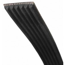 COURROIE 1213H8 MAEL