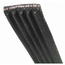 COURROIE 1180J4 MAEL